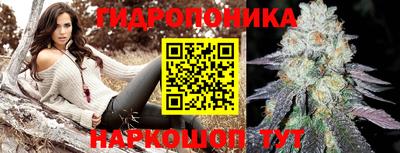 прущие грибы Славгород
