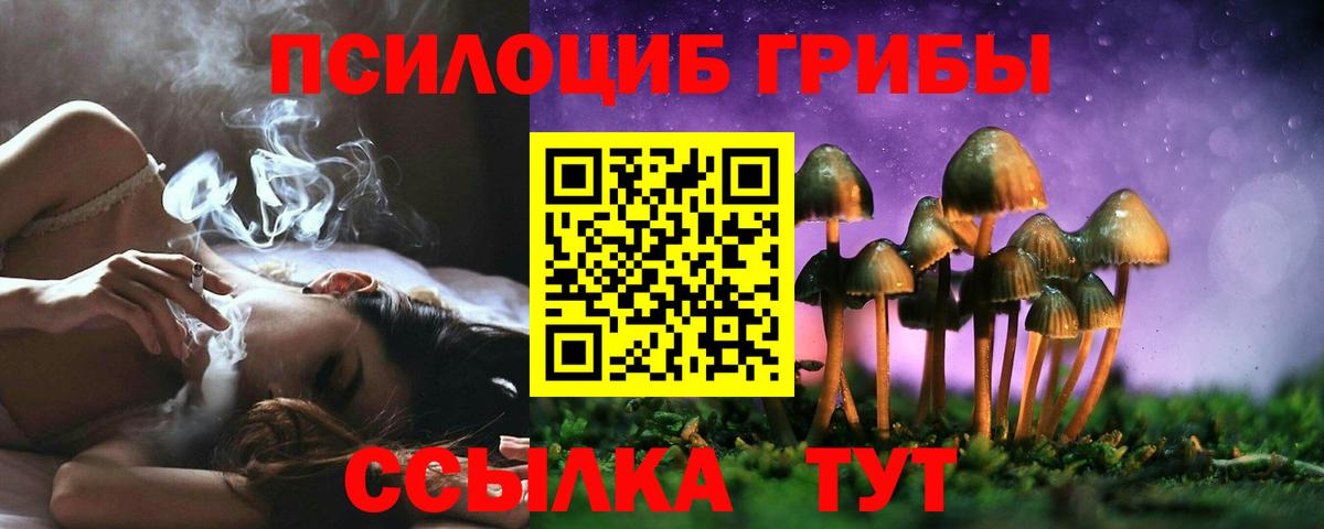 Галлюциногенные грибы MAGIC MUSHROOMS Подольск